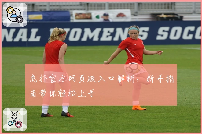 虎扑官方网页版入口解析，新手指南带你轻松上手