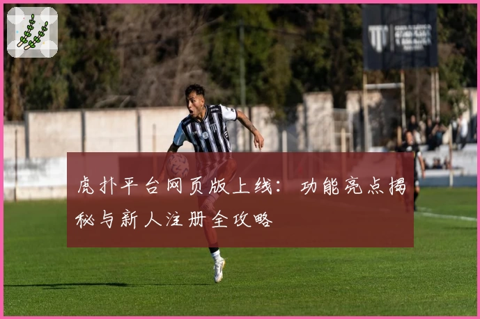 虎扑平台网页版上线：功能亮点揭秘与新人注册全攻略