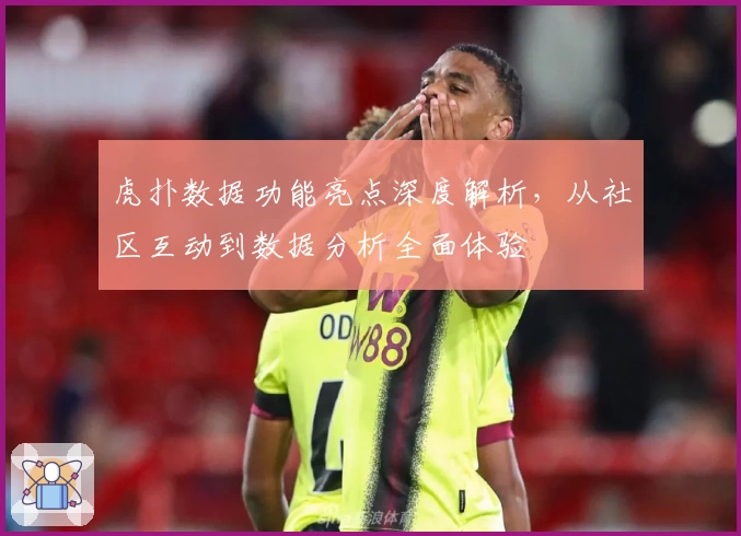 虎扑数据功能亮点深度解析，从社区互动到数据分析全面体验